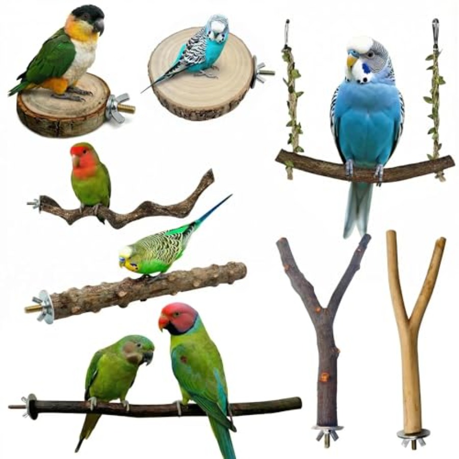 Health & Wellness Of Carmel - 8 Stück Vogelsitzstangen aus Naturholz für