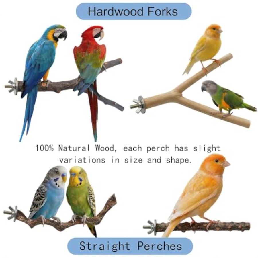 8 Stück Vogelsitzstangen aus N – Health & Wellness Of Carmel Bewertung und Preis